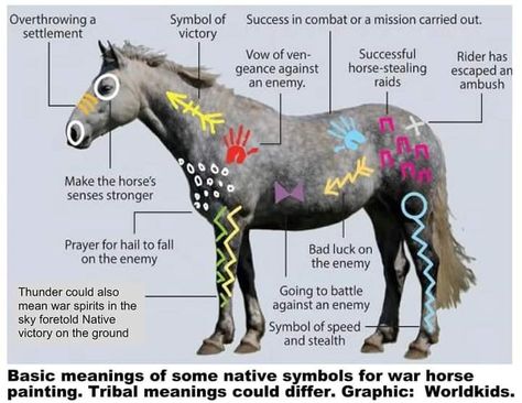 American Indian Horse, Horse Costumes For Horses, Horse Halloween Costumes, Horse Halloween, Native Symbols, Horse Costume, Native American Horses, Indian Horses, Horse Facts