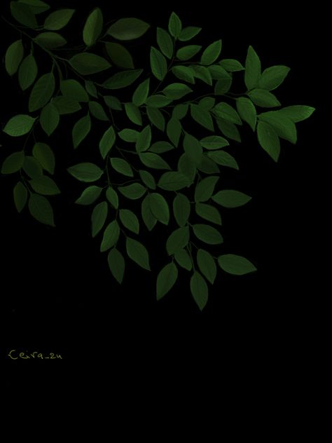 Grean Tree leaves black background my drawing Art With A Black Background, Black And Green Painting, Paintings With Black Background, Art With Black Background, Painting With Black Background, Art On Black Background, Cartoon Leaf, Black Background Painting, Green Leaf Wallpaper