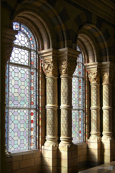 Museum of Natural History, London Castle Window, Wine Bottle Wall, Stained Glass Church, زجاج ملون, London Interior, Church Windows, Beautiful Windows, Art Stained, Window View