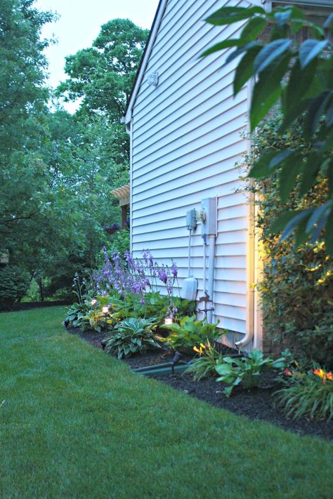 hosta garden on side of house Side Of The House Landscaping, Landscaping For Front Of House, Front Yard Landscaping Flowers, Contemporary Landscape Design, Curb Appeal Landscape, Hosta Gardens, Thrifty Decor Chick, Hosta Plants, Landscaping Flowers