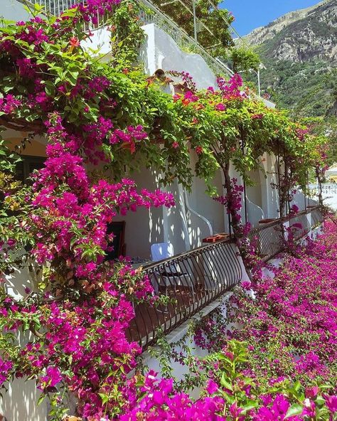 Hotel Poseidon in Positano, Italy (@hotelposeidonpositano) • Instagram photos and videos Positano Italy, Positano, Italy, Hotel, Photo And Video, Instagram Photos, Instagram Photo, Instagram