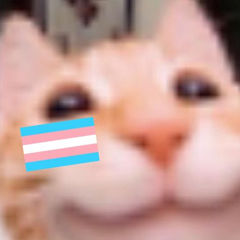 Icons Trans, Pride Pfp, Trans Things, Trans Boys, Lgbtq Stuff, Trans Pride, Lgbt Pride, So Me, Literally Me