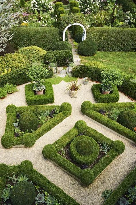 Boxwood Landscaping, Courtyard Plants, Parterre Garden, Boxwood Garden, Rose Cuttings, Hillside Garden, Landscaping Front Yard, Formal Garden, Formal Gardens