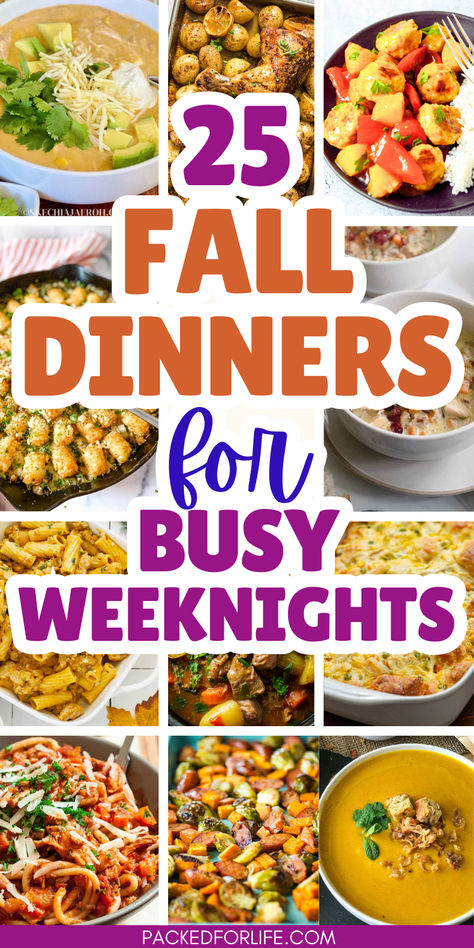 Text overlay 25 fall dinners for busy weeknights. With 12 photos of fall dinners from squash soup & white chicken chili, to tater tot turkey casseroles, & turkey pasta to harvest veggies sheet pan meals and beef stew. Fall Simple Dinner Recipes, Few Ingredient Fall Recipes, Top Fall Recipes, Beef Its Whats For Dinner, Homey Dinners Comfort Foods, Fall Time Food Ideas, Dinner Ideas Family Main Dishes, Summer To Fall Recipes, Easy Fall Meals For Two