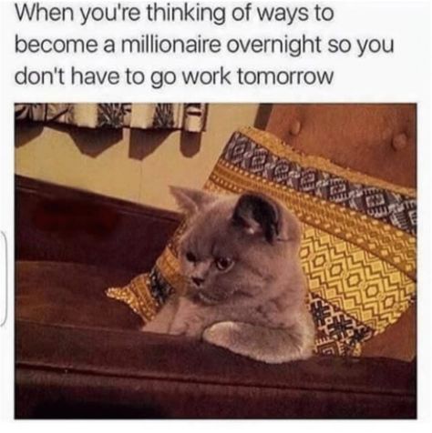 Exhausted Humor, Work Related Memes, Work Tomorrow, Bad Memes, Work Memes, Work Humor, Monday Morning, Best Memes, New Memes