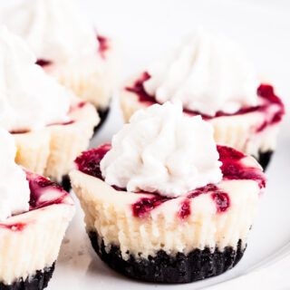 White Chocolate Raspberry Cheesecakes Bites - Chew Out Loud Day Party Food Ideas, Raspberry Cheesecakes, Raspberry Cheesecake Bites, White Chocolate Raspberry Cheesecake, Chocolate Raspberry Cheesecake, Mini Cheesecake Recipes, White Chocolate Cheesecake, Chocolate Chip Cheesecake, Dessert Bites