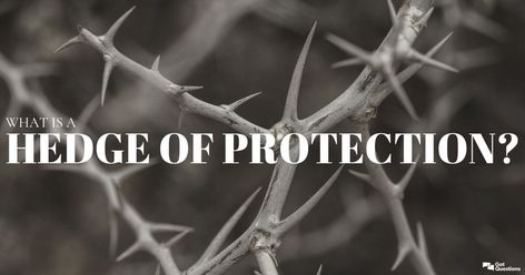 What is a hedge of protection? Are we supposed to ask God for a hedge of protection around us and our families? The Book Of Judges, Book Of Judges, Obeying God, Hedge Of Protection, Christian Websites, Deland Florida, Bible Questions, Ask God, Hedges