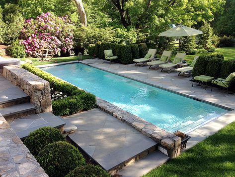 Adow Pools Photo Gallery - Stamford, CT Jennifer Anderson, Kleiner Pool Design, Deck Piscina, Small Swimming Pools, Small Pool Design, Backyard Pool Landscaping, Dream Pools, Have Inspiration, Backyard Inspiration