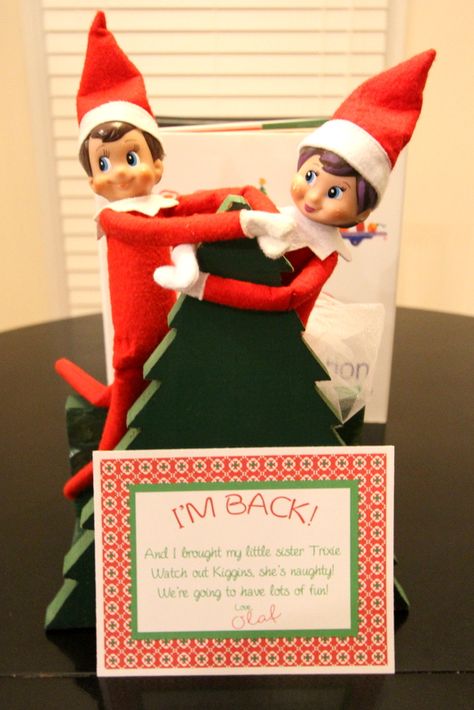 Elf On The Shelf- Why we have 2 elves and so should you! Lots of Ideas via "Like Mom And Apple Pie" Elf On The Shelf Ideas Siblings, Brother Sister Elf On The Shelf Ideas, Sister Elf On The Shelf Ideas, Elf On The Shelf Pair Ideas, Elf Friends Ideas, Elf Sibling Ideas, Brother And Sister Elf On The Shelf Ideas, Elf On The Shelf Arrival New Sibling, 2 Elf On The Shelf Arrival