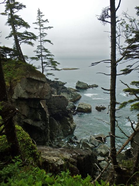 West Coast Photography, Hiking East Coast, Pacific North West Aesthetic, West Coast Art, Pacific Northwest Coast, Pacific Coast Trail, Pacific West Coast, West Coast Aesthetic, Pnw Aesthetic