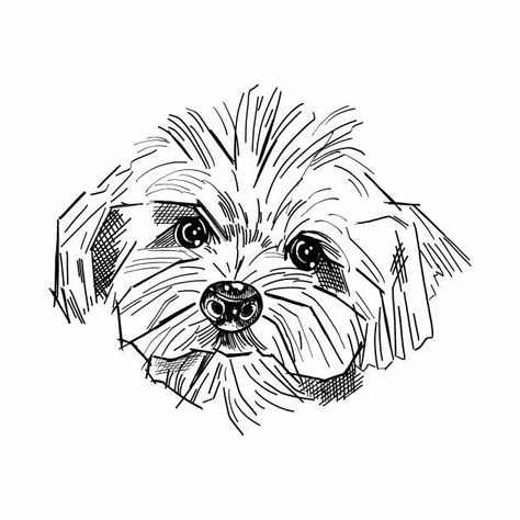 Out Line Art, Poodle Sketch, Tatoo Dog, Poodle Drawing, Dog Line Art, Dog Line, 강아지 그림, Desenho Tattoo, Happy Paintings