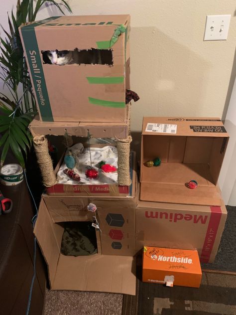 Super easy cat tree. I had a lot of boxes from moving & only took an hour. Mine is nothing fancy hut you can customize it however you want💛 What i used: •3 medium boxes & 2 small boxes from Walmart •twine rope from Homedepot. •shoe box for a step & storage •packing tape Cardboard Cat Tree, Step Storage, Diy Cat Tower, Pet Diy, Diy Cat Tree, Cat House Diy, Diy Cat Toys, Cat Tree Condo, Cat Box