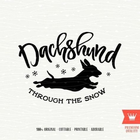 Pranks For Coworkers, Funny Christmas Images, Xmas Signs, Pet Store Ideas, Dachshund Through The Snow, Cricut Signs, Christmas Cricut, Decal Ideas, Free Svgs