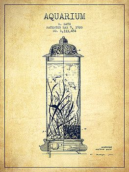 Victorian Mermaid, Staff Kitchen, Light Knight, Vintage Aquarium, Mermaid Found, Wardian Case, Zine Ideas, Idea Drawing, Mermaid Tank