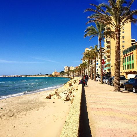 Tyre, South Lebanon 🇱🇧 . . . . . #tyre #promenade #oldharbour #southlebanon #phoenician #libanon #lebanon #liban #middleeast #travelblogger… Lebanon Beaches, Tyre Lebanon, Baalbek Lebanon, Tyre City, South Lebanon, Lebanon, Middle East, Travel Blogger, Collage