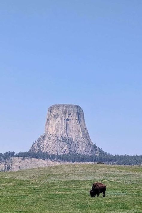 Devils Tower Wyoming, Devils Tower National Monument, South Dakota Travel, Devils Tower, Valley View, Sky View, Twin Towers, Picnic Area, National Monuments