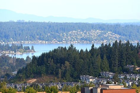 Issaquah Washington, Fountain Park, Skagit Valley, Seattle City, Summer Camps For Kids, City Limits, The Pacific Northwest, The Pacific, Aerial View