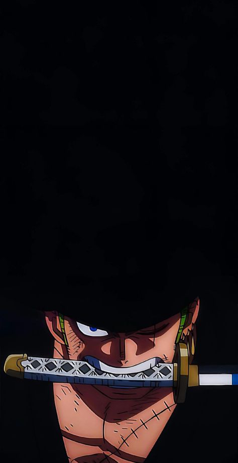 Haki One Piece, One Piece Theme, One Piece Wallpaper, رورونوا زورو, Zoro Roronoa, One Piece Photos, One Piece Cartoon, One Piece Wallpaper Iphone, Iphone Black