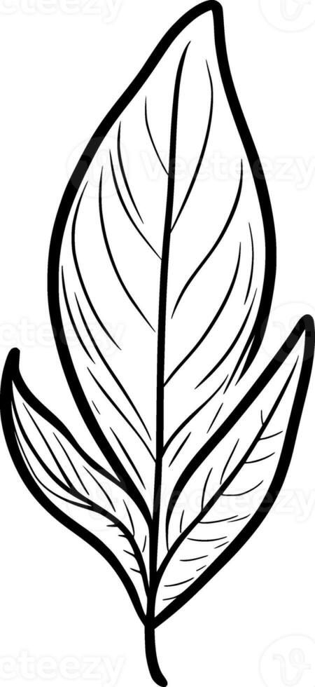 leaf with a black and white cartoon, drawing. White Cartoon, Black And White Cartoon, Drawing Drawing, Cartoon Drawing, A Black, Vector Free, Black And White, Photo And Video, Drawings