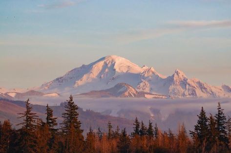 #Seattle Must See - #mountbaker 🏔 🗻⛰#Washington, the most beautiful state in the Pacific Northwest. 🌲#pnw #pnwtravel #WashingtonState #emeraldcity #mountains #travel 🛫 #tourism #travelseattle #mountains #caacades #cascademountains #olympicmountains Washington Mountains Aesthetic, Pacific Northwest Wallpaper, Cinematic Environment, Pacific Northwest Aesthetic, Pnw Mountains, Incense Collection, Mountain Scape, Washington Mountains, Flowers Sunset