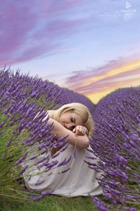 Lavender Fields Photography, Lavender Cottage, Lavender Garden, Shotting Photo, Lavender Field, Pictures Poses, Lavender Farm, Lovely Lavender, Photo Competition