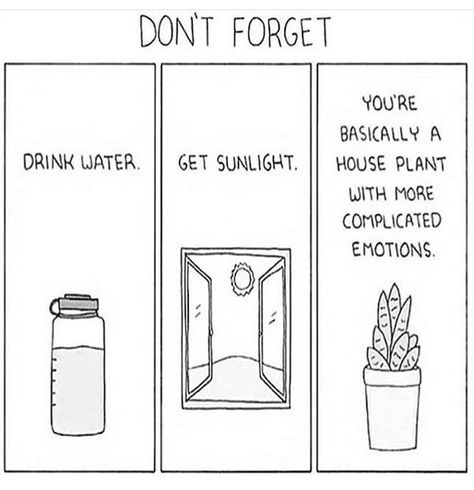 Don’t forget  Drink water  Get sunlight  You’re basically a houseplant with more complicated emotions. | Jo Glo Poorly Drawn Lines, The Awkward Yeti, House Plant, Weird World, Color Therapy, Brighten Your Day, Happy Sunday, Funny Comics, Drinking Water