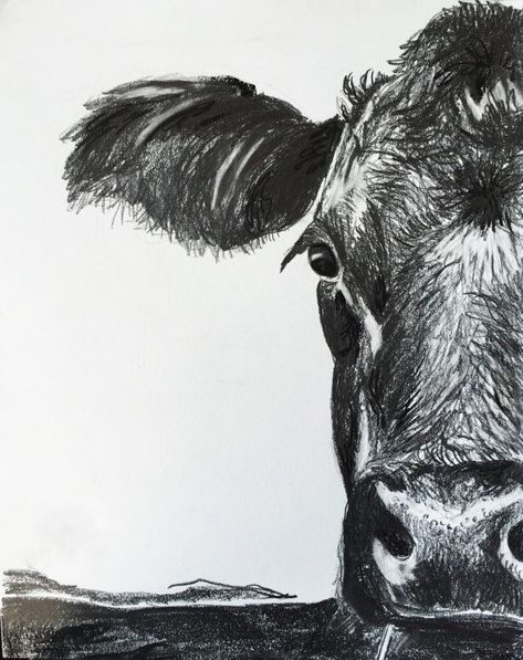 Cow Sketch, Drawing With Charcoal, Cow Artwork, Easy Things To Draw, Cow Drawing, Drawing Course, Charcoal Drawings, Charcoal Sketch, Things To Draw