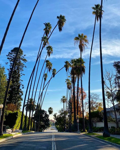 Starway To Heaven, California Republic, Pasadena California, Stairway To Heaven, California Photography, Green Life, Perfect Life, City Aesthetic, City Travel