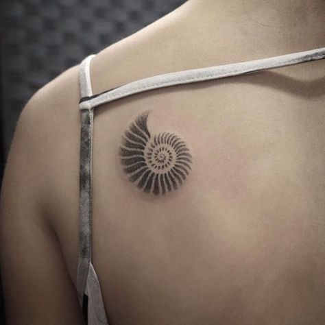 Paper Nautilus Tattoo, Nautilus Tattoo Shell, Shell Shoulder Tattoo, Fibonacci Shell Tattoo, Spiral Seashell Tattoo, Conk Shell Tattoos, Nautilus Tattoo Design, Chambered Nautilus Tattoo, Spiral Palm Tattoo