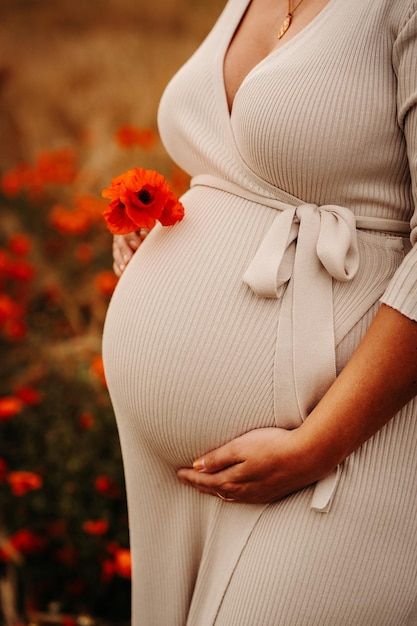 Poppy Field, Pregnant Woman, Free Photo, Stock Photos