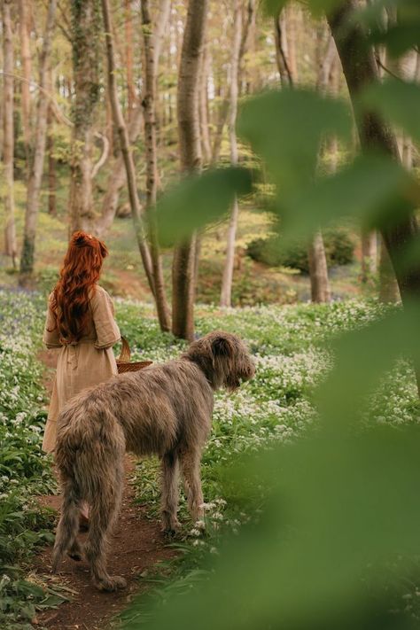 Irish Celtic Aesthetic, Celtic Culture Aesthetic, Rita Core, Rebecca Core, Celtic Aesthetic, Irish Aesthetic, Wolfhound Puppies, Irish Wolfhound Puppies, Irish Wolfhound Dogs