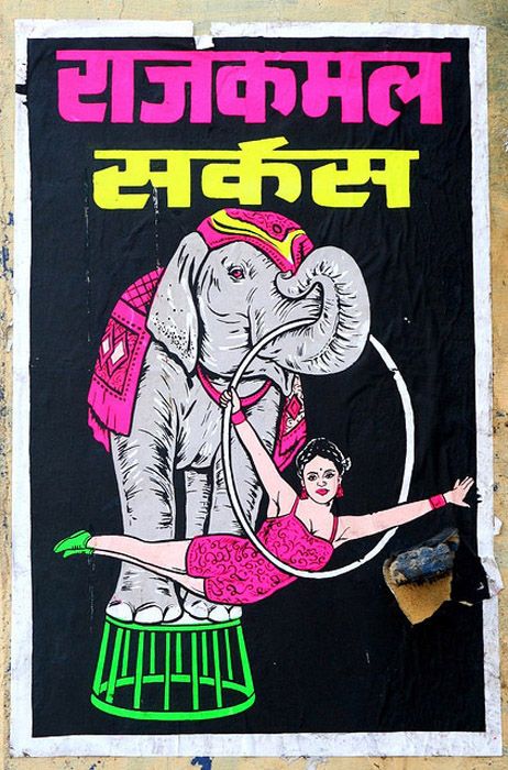 Circus Graphic Design, Indian Circus, Scraped Knee, Indian Retro, Circus Posters, Elephant Poster, Graphic Design Style, Indian Illustration, Bollywood Posters