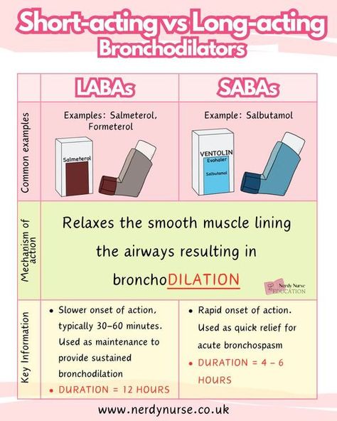 Lauren - Nursing made easy on Instagram: "Short acting vs long acting bronchodilators

#nursingclinicals #nurseuk #pathophysiology #pathophysiologyofdisease #traineenurseassociate #nursingstudentsofinstagram
#studentnursestudytips #studentnurses #studentnurseproblems #futurenurses
#nursingresources #nurseintraining #nurseinprogress #nursetobe #adultnursing #nursingassociates #traineenursingassociates #traineenurseassociate #traineenursingassociate #studentnursestruggles #studentpaediatricnurse #studentparamedicsuk #studynursing #studentnurseuk #studentnurse #nursingnotes #nursingstudent
#studentnursesofinstagram #studentparamedic #studentnurse #nerdynurseuk" Nerdy Nurse, Nurse Problems, Nursing Education, Nursing Study, Nursing Notes, Paramedic, Nurse Life, Nursing Students, Study Tips