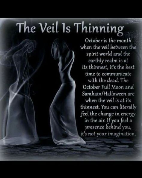 Veil Is Thinning, Samhain Halloween, Sons Of Horus, Voodoo Spells, Wiccan Spell Book, Hedge Witch, Witchcraft Spell Books, Witch Magic, Spirit World