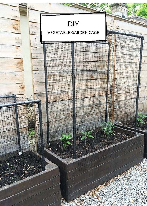 Garden Cages, Squirrel Proof Garden, Garden Cage, Diy Vegetable Garden, Stones Garden, Diy Raised Garden, Covered Garden, Veg Garden, Plants Garden