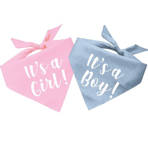 Baby Announcement Dog, Baby Gender Reveal Announcement, Pet Pregnancy Announcement, Big Sister Dog Bandana, Glitter Gender Reveal, Dog Baby Announcement, Dog Pregnancy Announcement, Gender Reveal Announcement, Pregnancy Gender Reveal