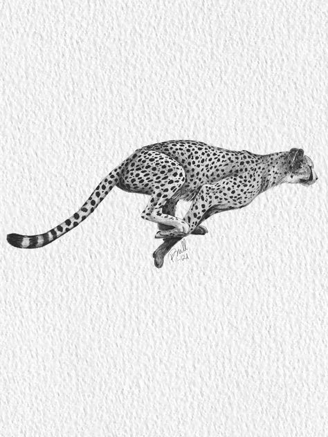 Cheetah Tattoo Men, Small Cheetah Tattoo, Cheetah Tattoo Design, Tattoo Cheetah, Jaguar Tattoo Design, Leopard Tattoo Design, Cheetah Drawing, Cheetah Tattoo, Leopard Tattoo