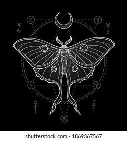 Luna Moth Line Drawing, Moth Bleach Design, Luna Moth Tattoo Simple, Luna Moth Sketch, Luna Moth Outline, Moth Drawing Simple, Moth Line Art, Moth Logo, Luna Moth Tattoo