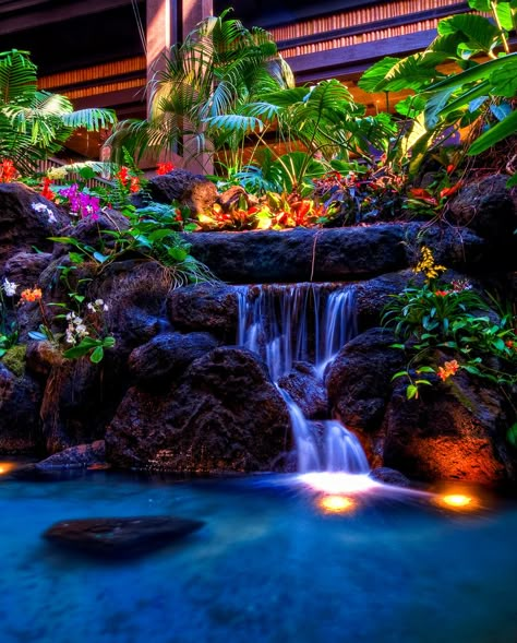 Tropical Garden, Pool Party, At Night, Pool, Plants, Flowers