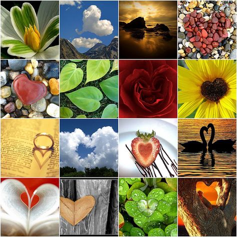 Hearts-on-Nature Hearts In Nature, Collage Nature, Heart In Nature, Heart Collage, Nature Collage, I Love Heart, Heart Images, Key To My Heart, Heart Art