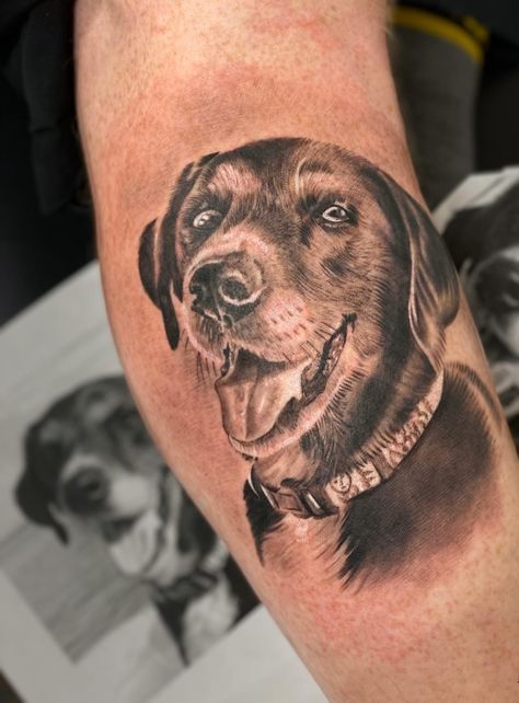 Loving this adorable black and grey realistic, dog portrait done by @hardworksingh. This arm tattoo has some awesome white highlights that make the whole piece come together! Portrait Tattoo Design, Dog Portrait Tattoo, Tattoo Artists Near Me, Mama Tried, Tattoo Dog, White Highlights, Traditional Tattoo Flash, Dog Tattoo, Dog Pin