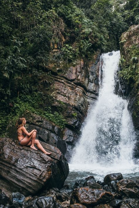 Zoology Major, El Yunque Rainforest, El Yunque National Forest, Puerto Rico Trip, Puerto Rico Vacation, Virgin Island, Adventure Guide, Sugar Scrubs, San Juan Puerto Rico