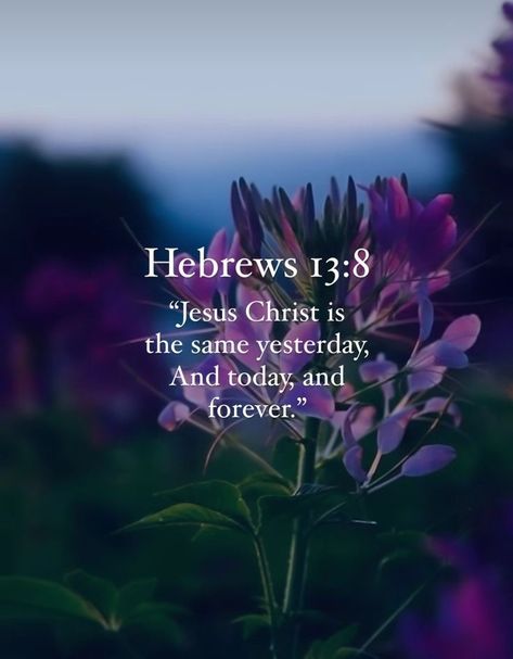 Faith Scripture, Beautiful Bible Verses, Biblical Inspiration, Hello May, Biblical Verses, Inspirational Quotes God, Christian Bible Verses, Prayer Scriptures, Bible Verses Quotes Inspirational