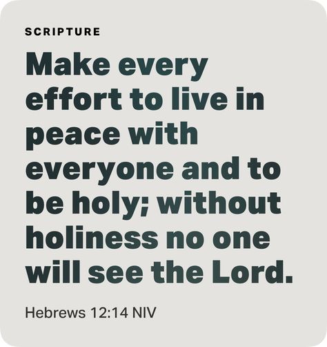 ‭‭Hebrews‬ ‭12‬:‭14‬ ‭NKJV‬‬ Pursue Peace, Salvation Scriptures, Hebrews 12, Father God, Jesus Wallpaper, New King, King James Version, King James, Bible App