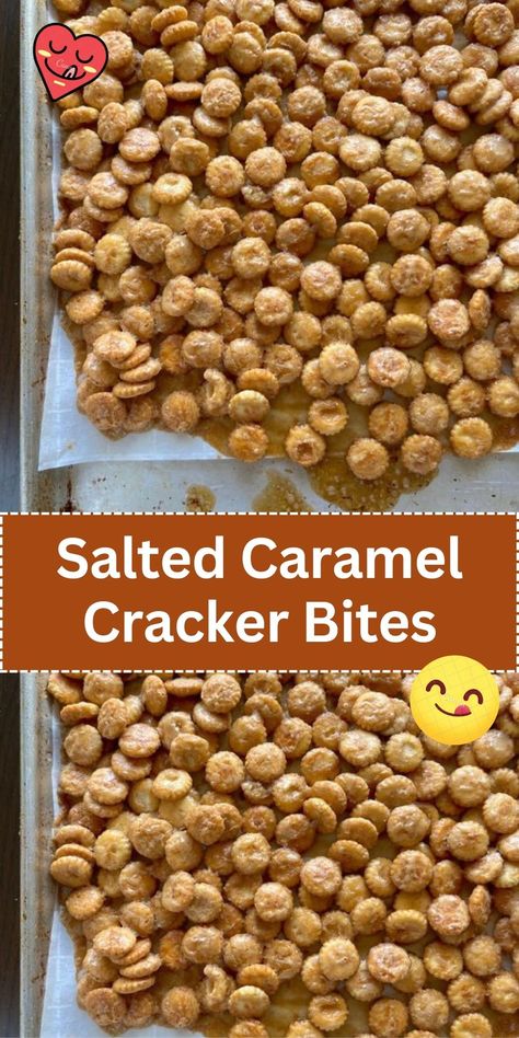 These bite-sized treats start with a salty cracker base, topped with a homemade or store-bought caramel, and finished with a chocolate coating. The salted caramel adds a perfect contrast to the sweet chocolate. Salted Caramel Crackers, Salted Caramel Oyster Cracker Bites, Salted Caramel Cracker Bites, Cracker Bites, Cracker Dessert, Crispy Crackers, Salted Carmel, Quick Cookies, Desserts Ideas