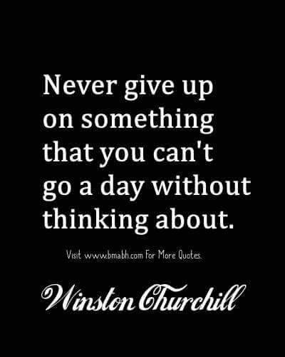 Giving Up Quotes Relationship, Winston Churchill Quotes, Never Give Up Quotes, Giving Up Quotes, Up Quotes, Quotable Quotes, The Doctor, A Quote, Famous Quotes