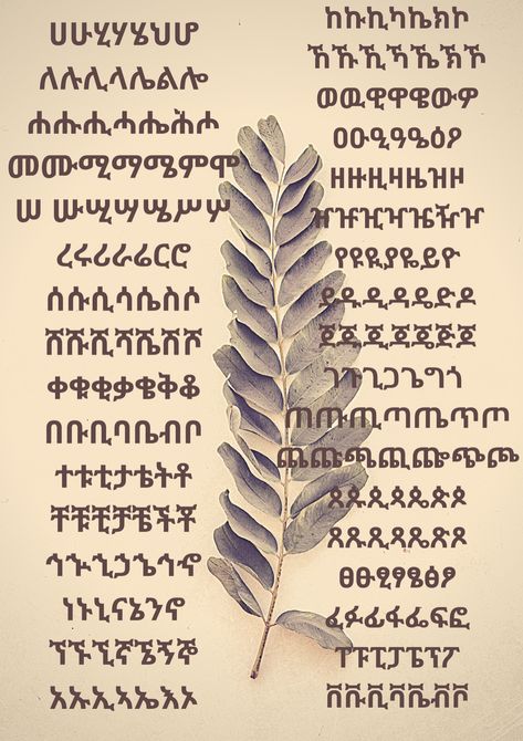 Ethiopian alphabet Ethiopian Alphabet, Ethiopian Art, Ethiopian Women, Cool Typography, Live Wallpaper Iphone, Live Wallpapers, Ethiopia, Alphabet, Typography