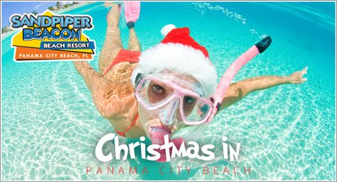 Things to do during Christmas in Panama City Beach Things To Do During Christmas, Things To Do For Christmas, Christmas Beach, Beach Christmas, Panama City Beach, Panama City, Tips And Advice, City Beach, Vacation Ideas