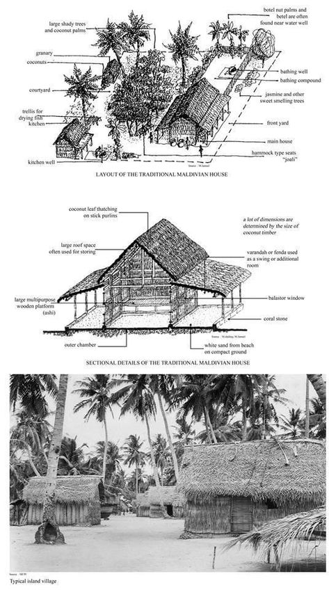 Architecture Entourage, Vernacular Architecture Philippines, Bali Traditional Architecture, Philippine Architecture, Architecture Drawing Sketchbooks, Model Ship Building, House Sketch, Maldives Resort, Bamboo House