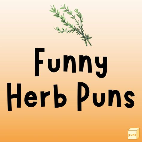 Herbs are plants aside from vegetables that offer micronutrients, aroma, and flavor. Next time you see or eat one, remember funny herb puns. Herb Quotes Funny, Funny Herb Sayings, Herb Puns, Wedding Puns, Garden Puns, Herb Labels, Plant Puns, Funny Names, Witty Quotes